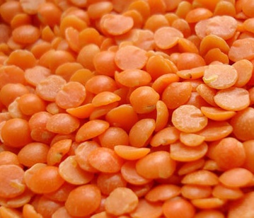Split Lentil in category of grains and pulses
