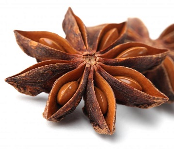 Star Anise in category of spices and herbs