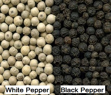 White Pepper in category of spices and herbs