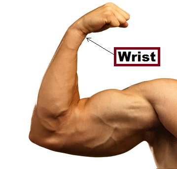 Wrist in category of Parts of Body