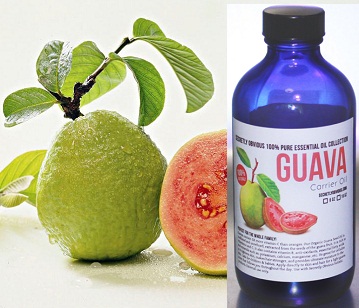 Guava Leaf Oil