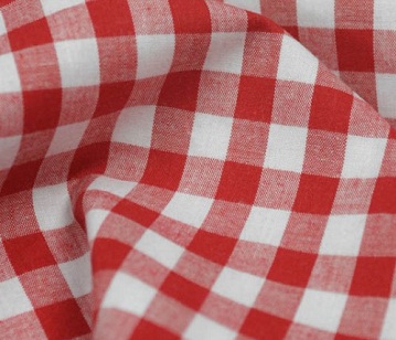 Gingham Fabric