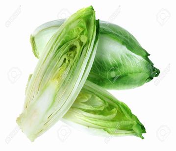 Wild Endive in category of vegetables