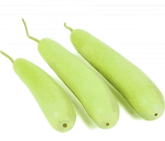 Bottle Gourd Bottle Gourd in category of vegetables