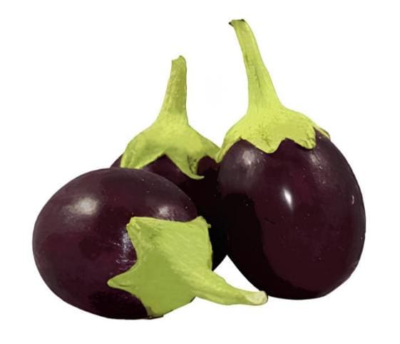 Brinjal Brinjal in category of vegetables