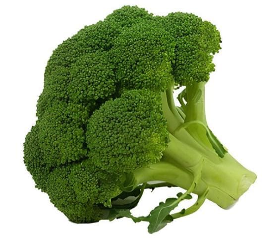 Broccoli Broccoli in category of vegetables