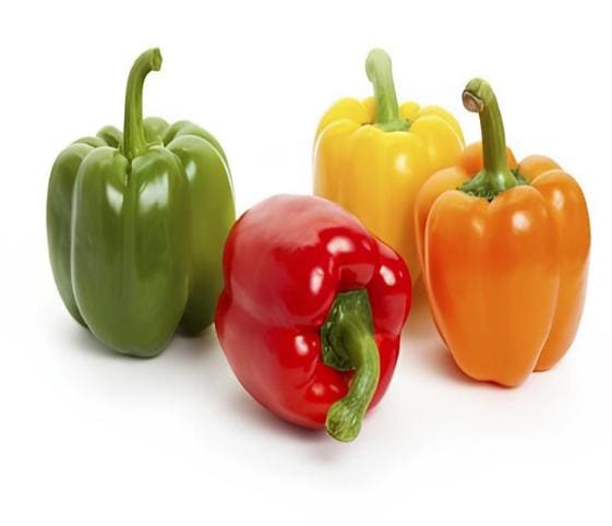 Capsicum Capsicum in category of vegetables