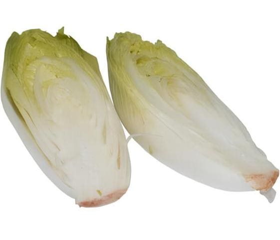 Chicory Chicory in category of vegetables