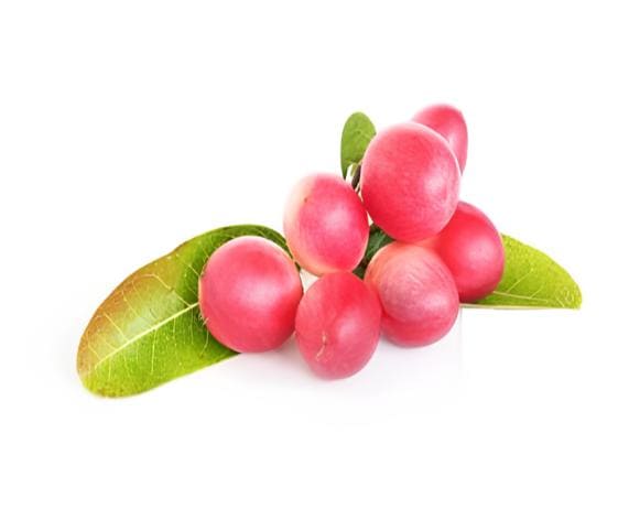 Cranberry Cranberry in category of vegetables