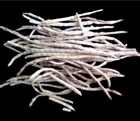 Dry Sangri Pods Dry Sangri Pods in category of vegetables