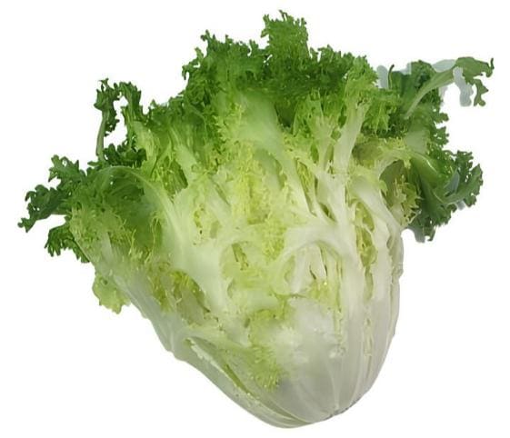 Endive Endive in category of vegetables