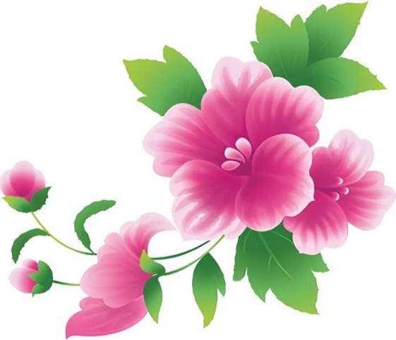 Flower Flower in category of vegetables