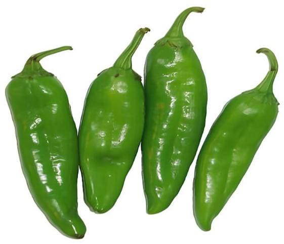 Green Chilli Green Chilli in category of vegetables