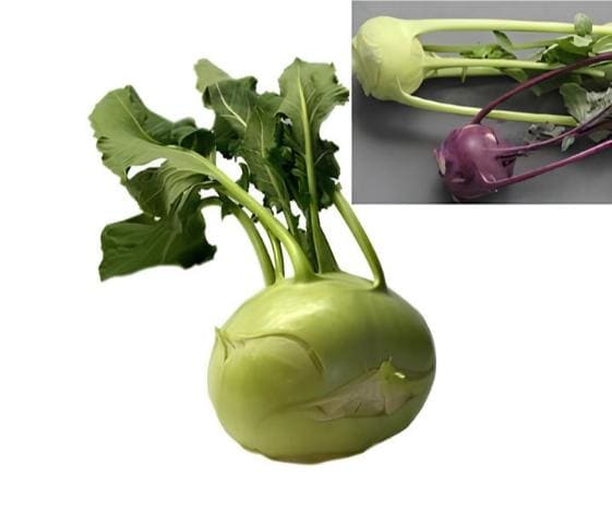 Knolkhol Knolkhol in category of vegetables