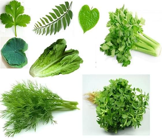 Leaves Leaves in category of vegetables