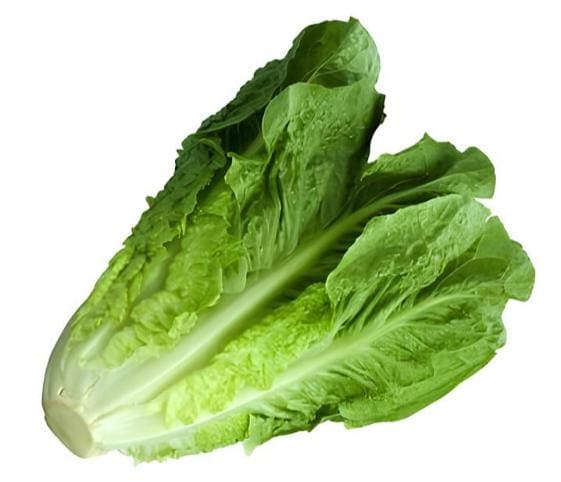 Lettuce Leaves Lettuce Leaves in category of vegetables