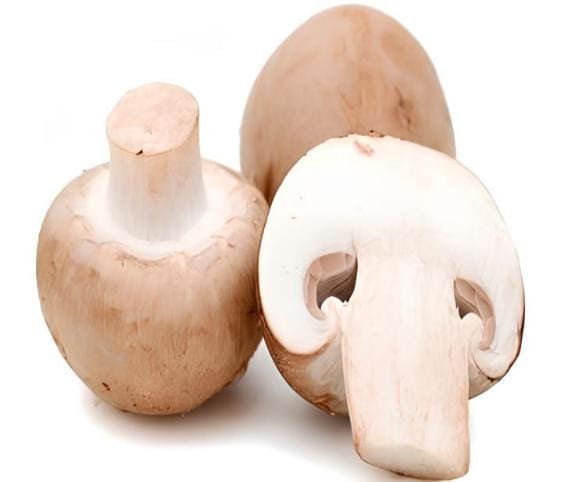 Mushroom Mushroom in category of vegetables