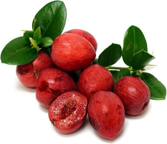 Natal Plum Natal Plum in category of vegetables