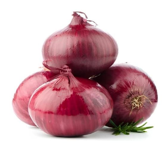Red Onion Red Onions with white background