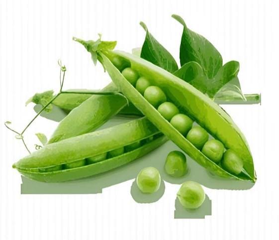 Green Pea Pods Green Pea Pods in category of vegetables