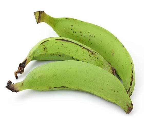 Plantain Plantain in category of vegetables