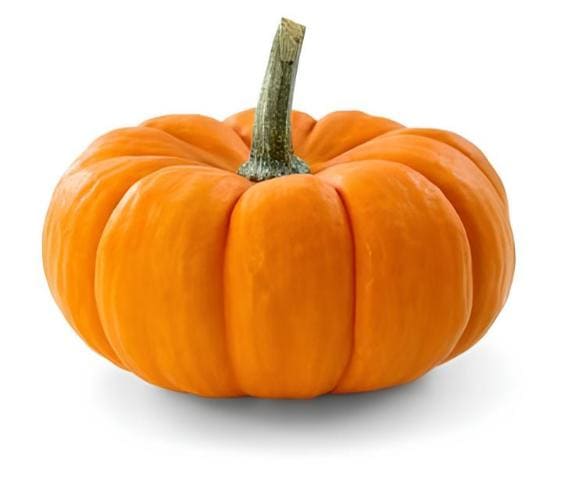 Pumpkin Pumpkin in category of vegetables