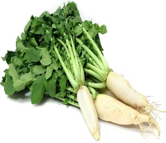 Radish Radish in category of vegetables