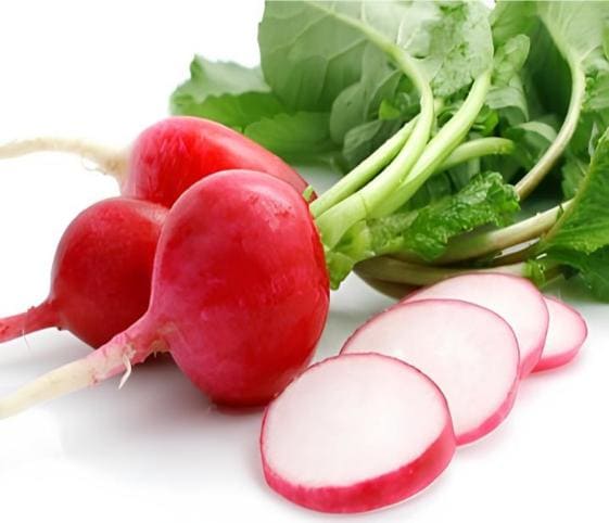 Radish Radish in category of vegetables