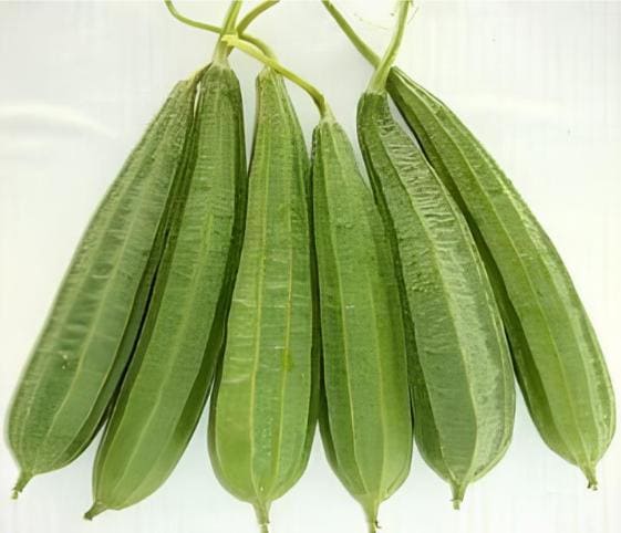 Ridge Gourd Ridge Gourd in category of vegetables