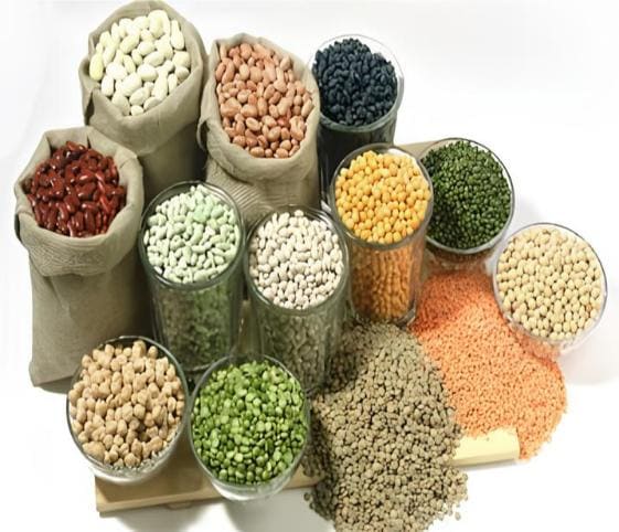 Seeds Seeds in category of vegetables