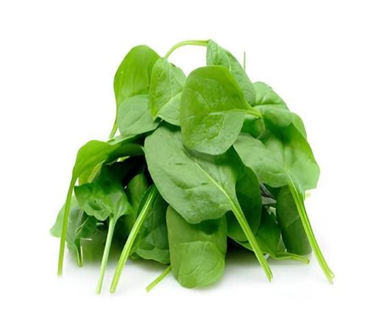 Spinach Spinach in category of vegetables