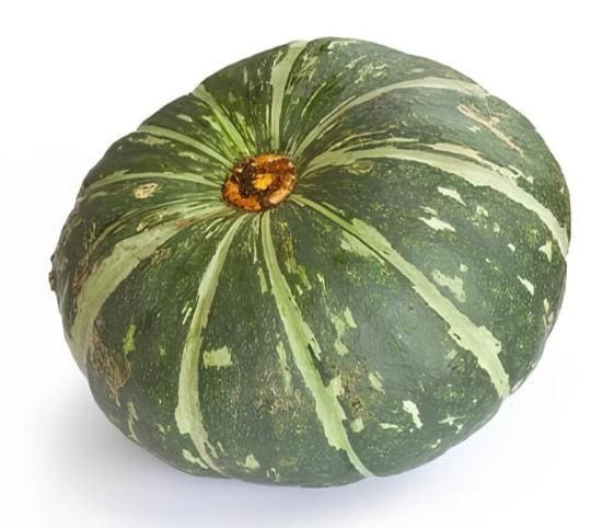 Squash Squash in category of vegetables