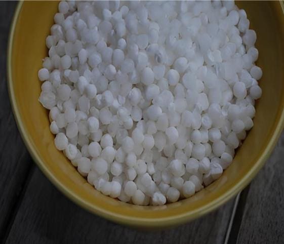 Tapioca Tapioca in category of vegetables