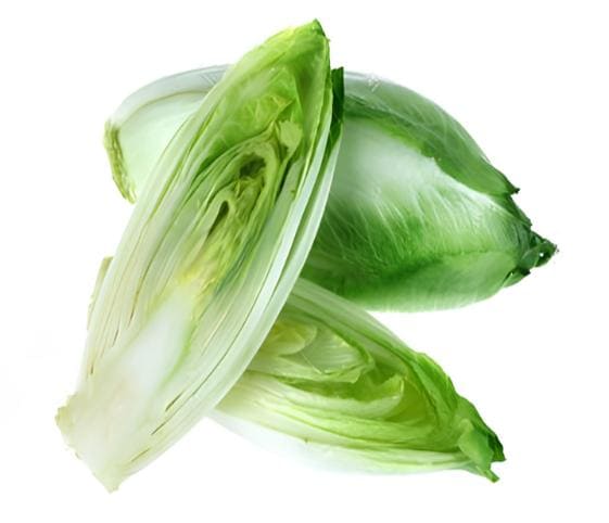 Wild Endive Wild Endive in category of vegetables