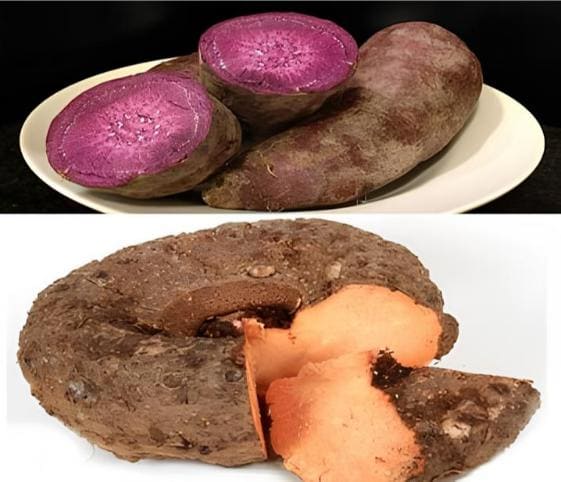 Yam Yam in category of vegetables