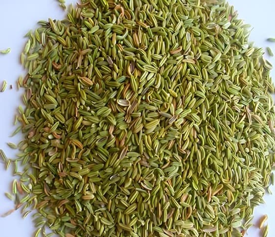 Aniseed A detailed view of green fennel seeds, highlighting their distinct texture and rich green hue.