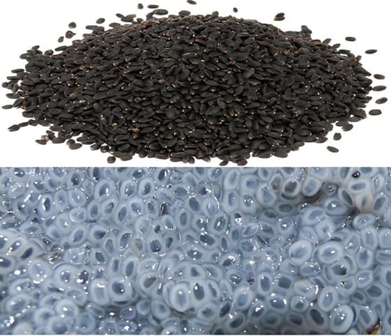 Basil Seeds A close-up of basil seeds alongside soaked basil seeds.