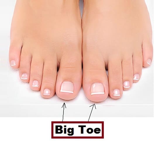 Big Toe A close-up of a woman's feet, prominently featuring the word big toe.