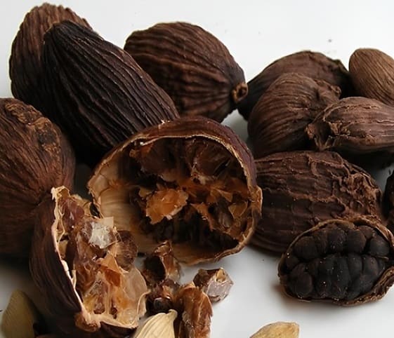 Black Cardamom Black cardamoms displayed on a clean white background.