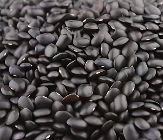 Black Hourse Bean Black Hourse Bean in category of grains and pulses