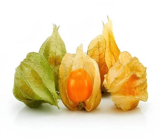 A collection of Cape-gooseberries arranged on a clean white background