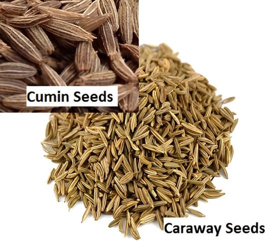 Caraway Seeds A close-up of cumin seeds and caraway seeds.