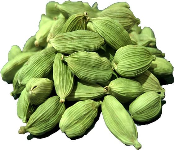 Green Cardamom A close-up of green cardamoms arranged on a white background.
