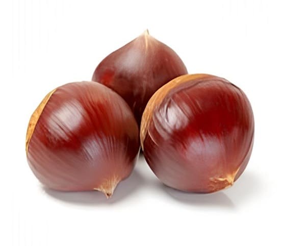 Chestnut A collection of chestnuts displayed on a clean white background.