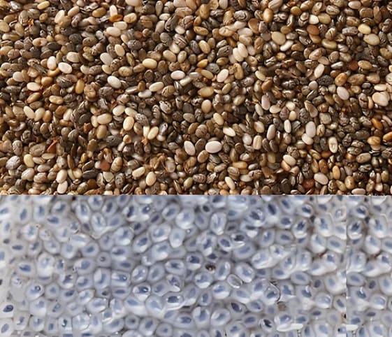 Chia Seeds A collection of chia seeds alongside soaked chia seeds.