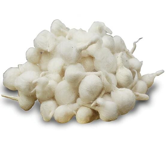 Cotton Wick Cotton Wick