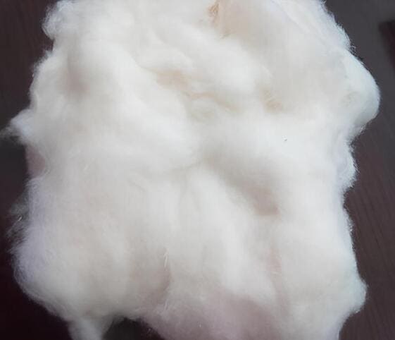 Cotton Cotton