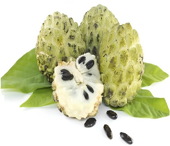 Close-up of custard-apple fruit featuring seeds and leaves