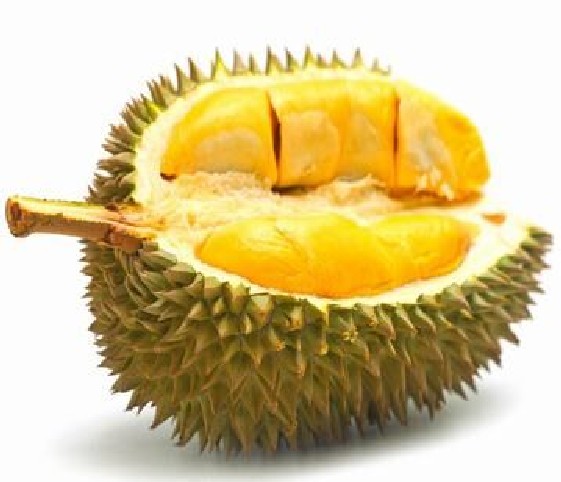 A freshly cut durian fruit showcasing its distinctive yellow pulp.