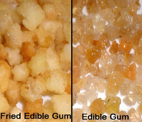 Edible Gum Two images showcasing both edible gum and its fried form.